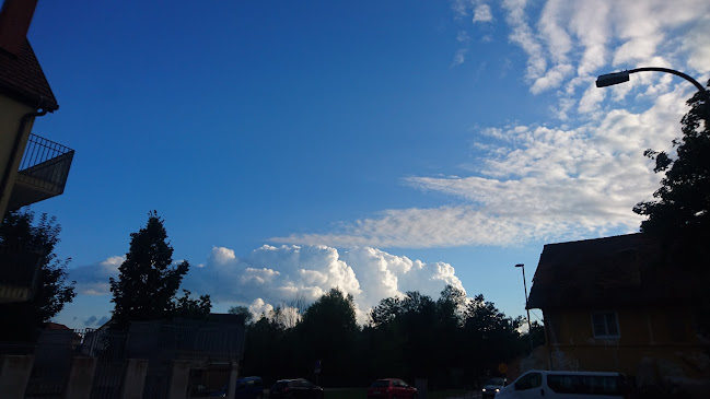 Opinii despre Veltins pub în Mengeš - Gastronomija in gostinstvo