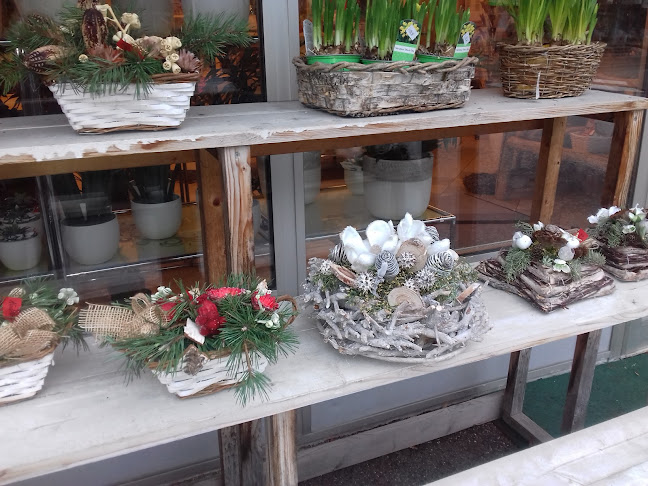 Opinii despre Mercator d.d. în Grosuplje - Gastronomija in gostinstvo