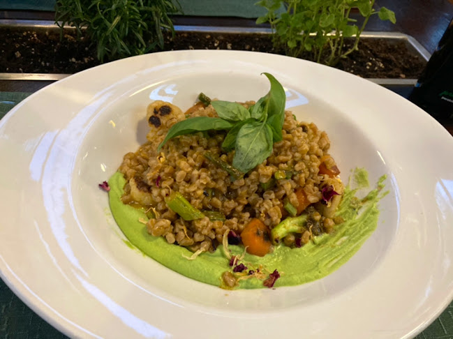 Opinii despre Garden Restaurant în Bled - Gastronomija in gostinstvo