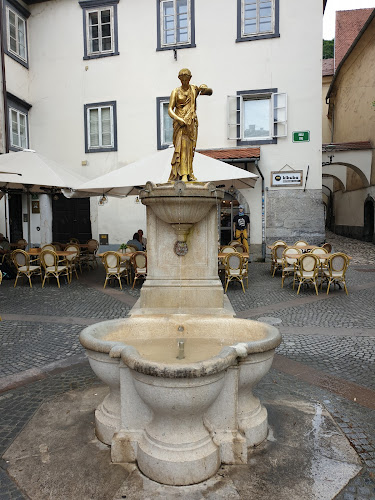 Ribji trg 2, 1000 Ljubljana