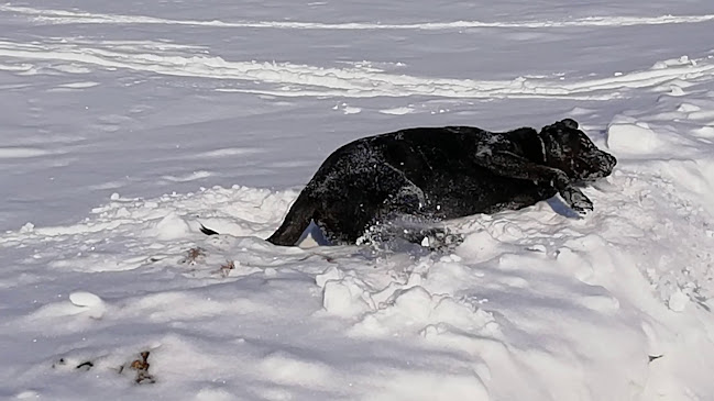 Top Unimat, Ognjevarni materiali, d.o.o. Jesenice