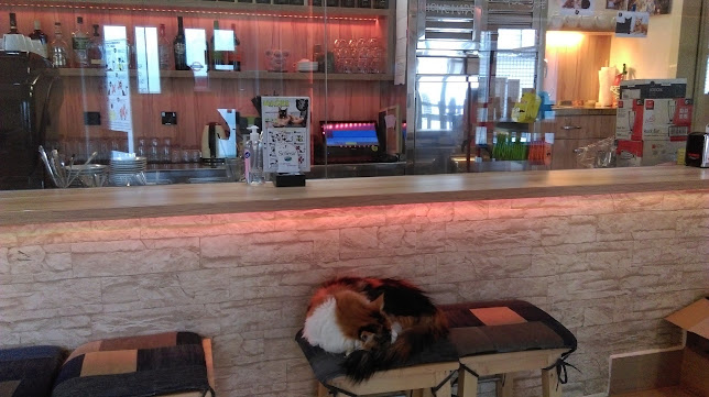 Comentarii opinii despre Cat Caffe Ljubljana