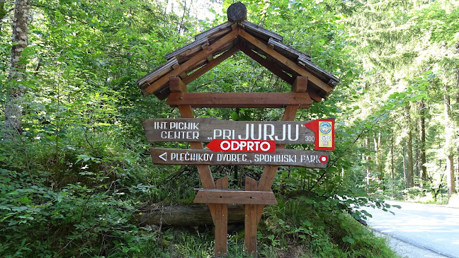 Comentarii opinii despre International Piknik Center "Pri Jurju"