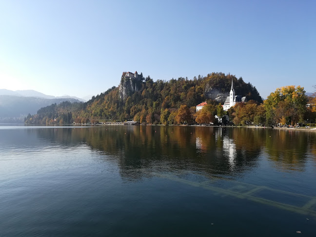 Stop Robert Nemeček s.p. - Bled
