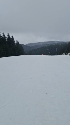 Pohorska picerija in pivnica Planja - Gastronomija in gostinstvo