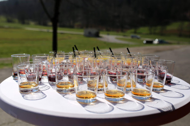 Comentarii opinii despre Okrepčevalnica pri Ančki