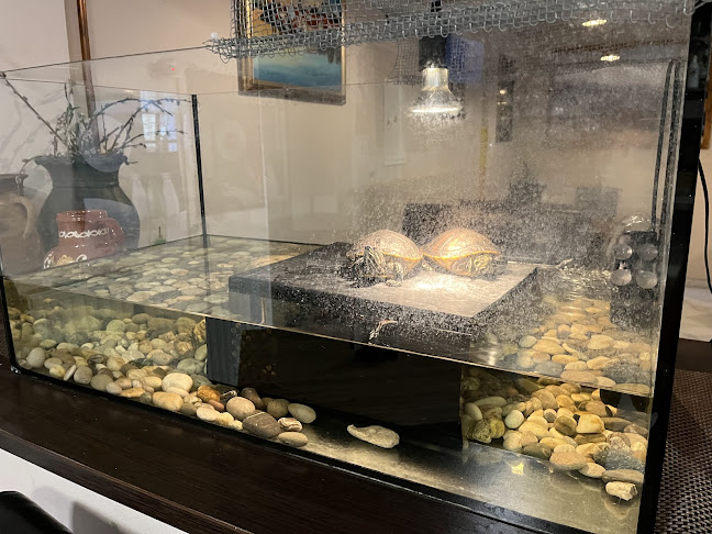 Pizzeria Njami - Ptuj