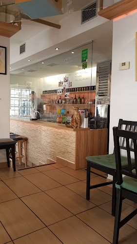 Cat Caffe Ljubljana - Ljubljana