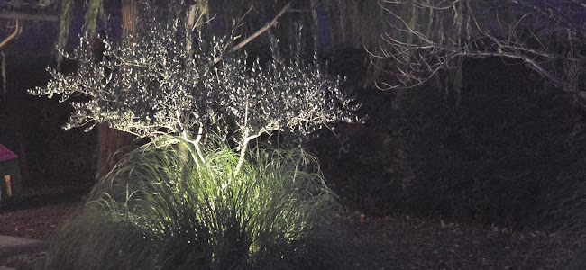 Opinii despre Gostilna-Trattoria Turk în Koper - Gastronomija in gostinstvo