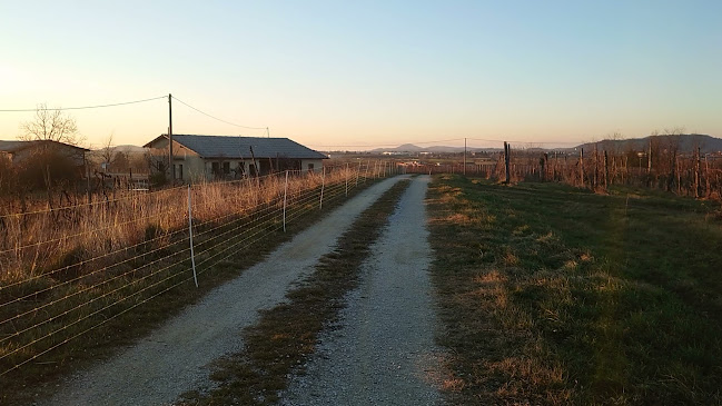 Vrtojbensko biljenski grici