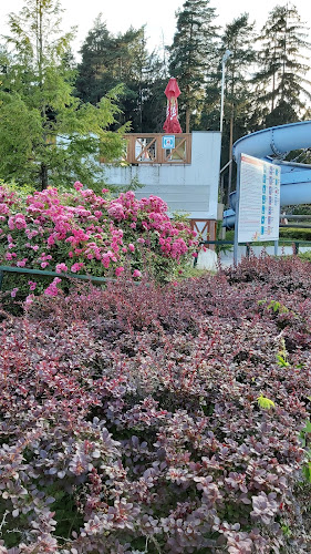 Comentarii opinii despre Therme Zrece pool cafeteria