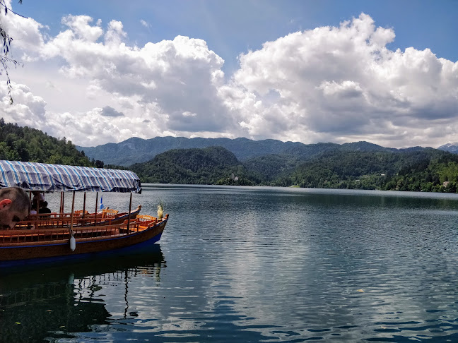 Ljubljanska cesta 4, 4260 Bled