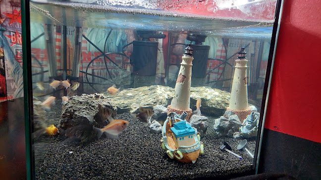 BAR EXTRA, Boštjan Jožef Janežič s.p. - Gastronomija in gostinstvo