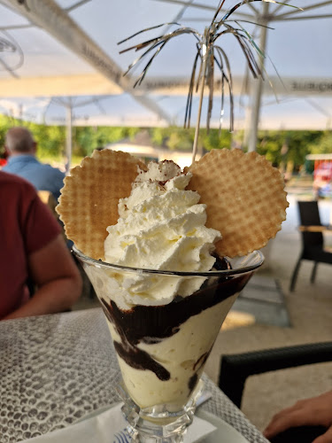 Comentarii opinii despre Felix Bovec