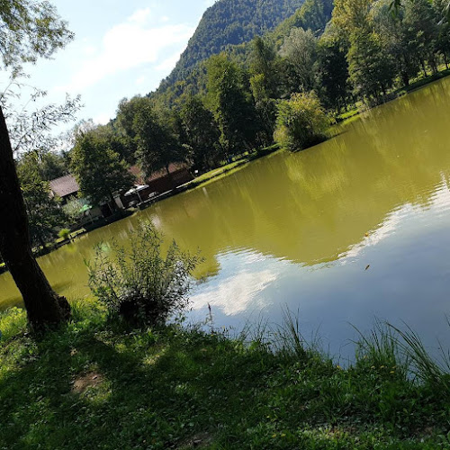 Opinii despre Dnevni bar RD MEDVODE, Marina Despotović s.p. în Ljubljana - Šmartno - Gastronomija in gostinstvo