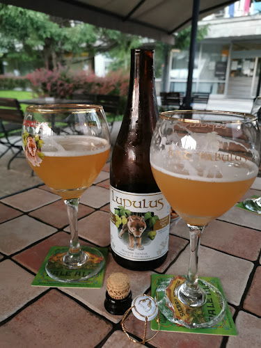 Beer Bar Galus - Gastronomija in gostinstvo