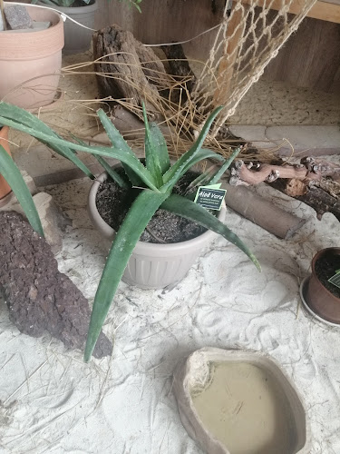 Kava bar Minutka - Bled - Gastronomija in gostinstvo