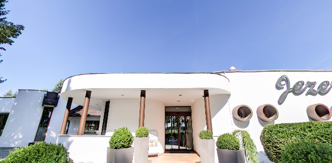 Comentarii opinii despre Restavracija Jezero