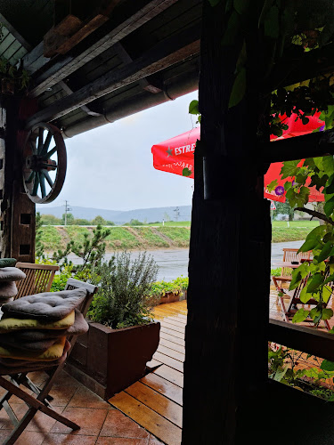 Comentarii opinii despre Bolk Oštarija