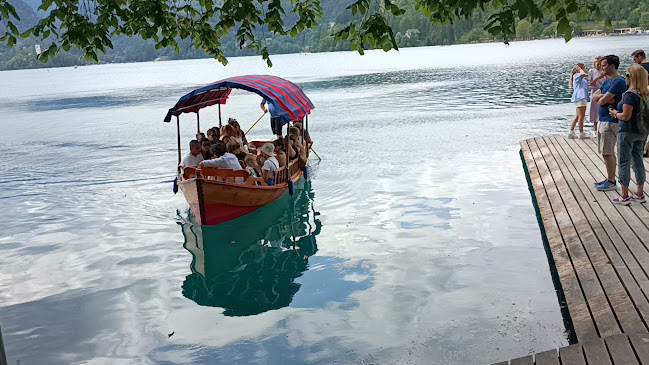 Cesta svobode 19a, 4260 Bled