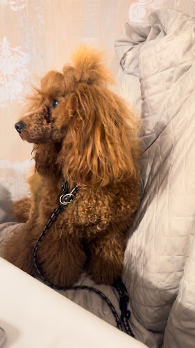 Gostilna " pri Gorjancu" Luka Kanc s.p.