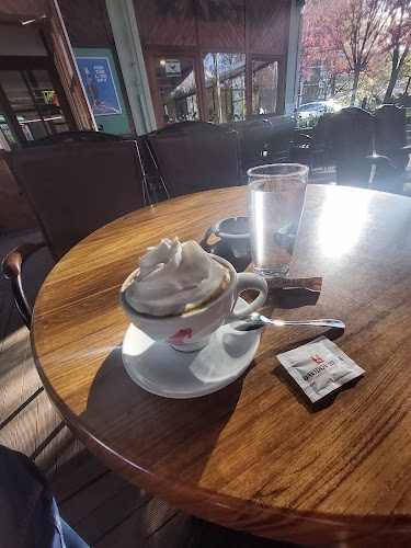 Kaktus american bar - Gastronomija in gostinstvo