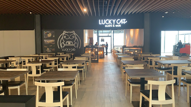 Comentarii opinii despre Lucky Cat