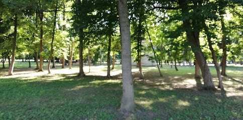 Bar dominat, Suzana Horvat, s.p.