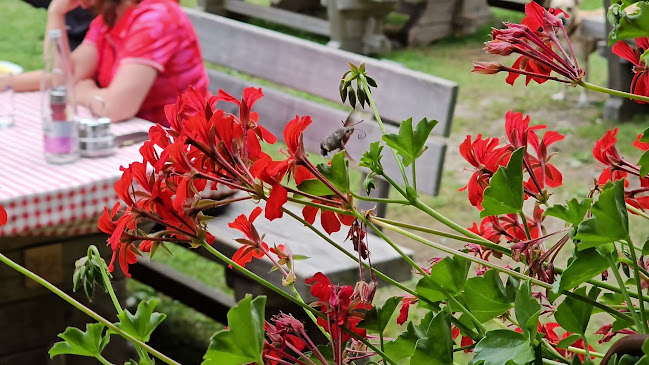 Opinii despre Trenta Spageterija & Pizzerija în Soča - Gastronomija in gostinstvo