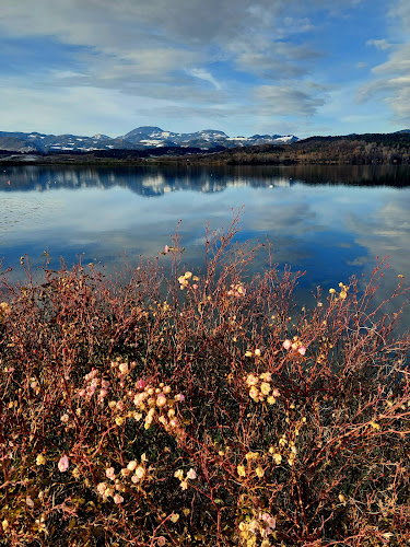 Wunder Beach Bar - Velenje