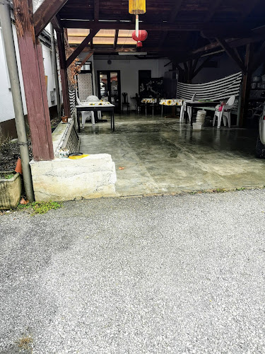 Opinii despre Letni vrt Kitajska restavracija în Žalec - Gastronomija in gostinstvo