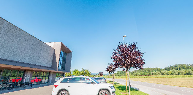 Kavarna Skandi - Gastronomija in gostinstvo