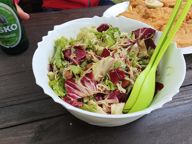 Comentarii opinii despre International Piknik Center "Pri Jurju"