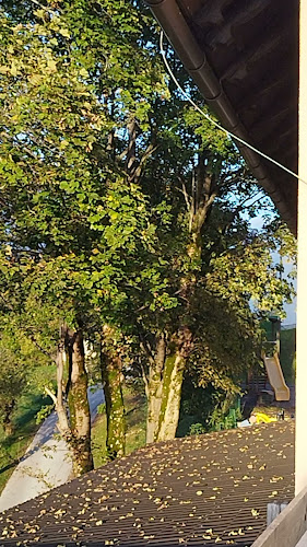 Comentarii opinii despre Dom na Joštu