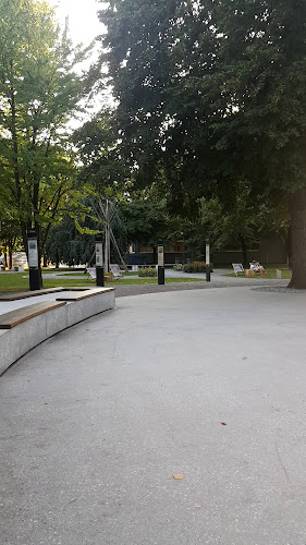 Opinii despre Fontana piva Zeleno zlato în Žalec - Gastronomija in gostinstvo