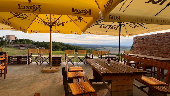 Okrepčevalnica Sini