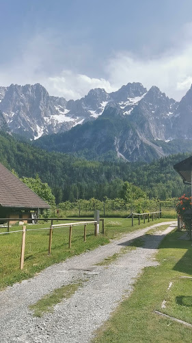Gostilna in Pizzerija Jožica