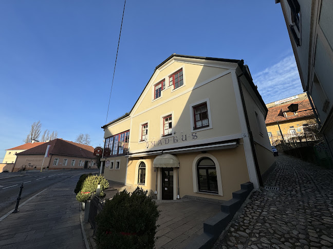 Gostilna Amadeus - Ptuj
