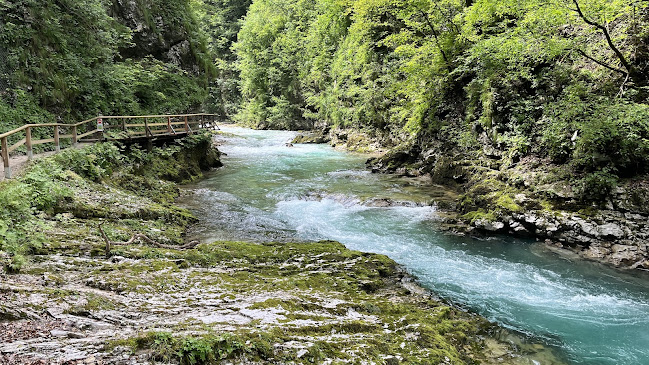 Comentarii opinii despre Gostilna Vintgar