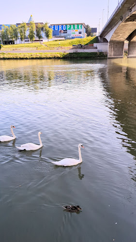 Kitajska restavracija Zvezda - Maribor