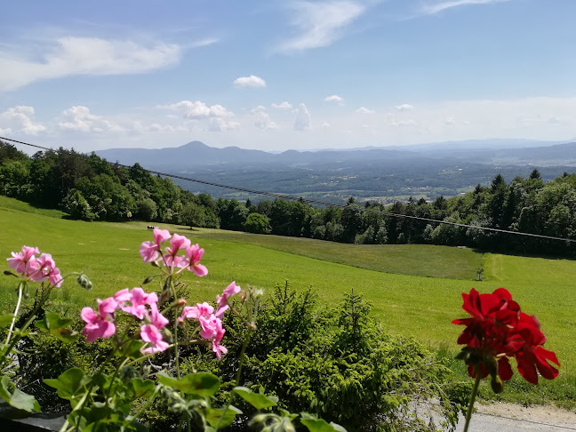 GOSTILNA "GOSTIŠČE BRBRE", BRBRE DRAGICA S.P. - Gastronomija in gostinstvo