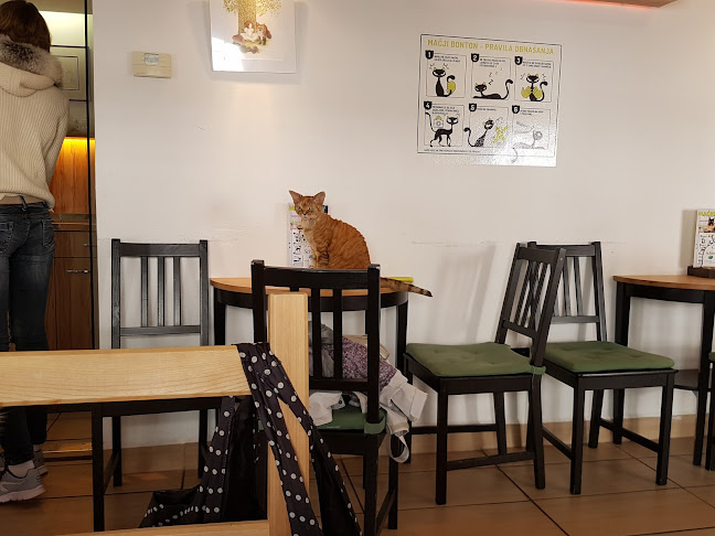 Cat Caffe Ljubljana