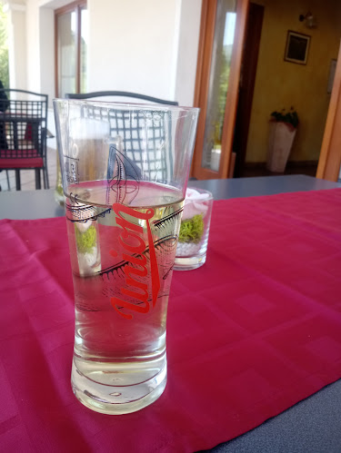 Comentarii opinii despre Gostilna pri mostu,Plave