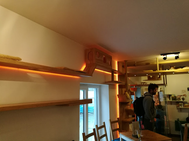 Cat Caffe Ljubljana