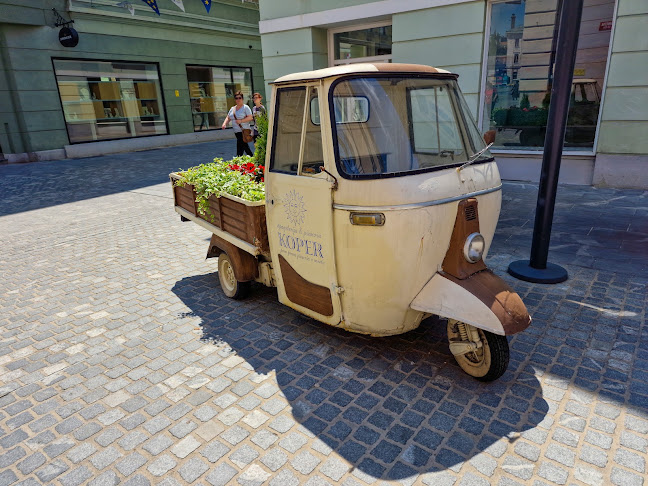 Špageterija in pizzerija Koper - Gastronomija in gostinstvo