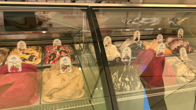 Lastovka pri SERŠ-u - Maribor