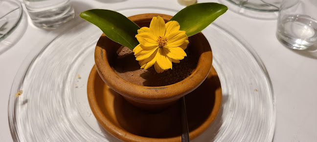 Opinii despre FISH în Ljubljana - Gastronomija in gostinstvo