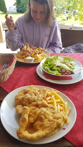 Comentarii opinii despre Gostilna Ema