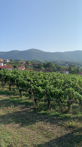 Saksida, wine & camping resort
