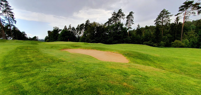 Comentarii opinii despre Restavracija Arboretum